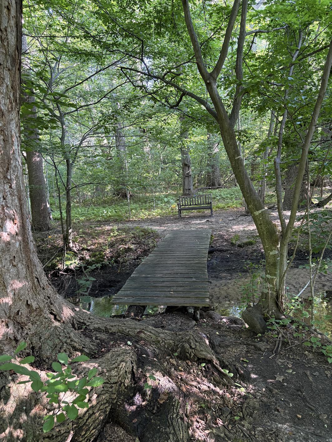 Bridge